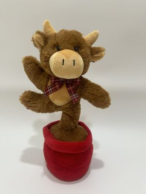 بقر المرتفعات يغني ويرقص