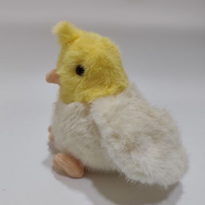 5 Assorted Plush Parrot Toys Colorful Soft Stuffed Birds Collection