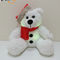 عيد الميلاد LED الإضاءة القطيفة الدب مع سانتا قبعة الاطفال هدية LED الدب الأطفال أفخم لعبة